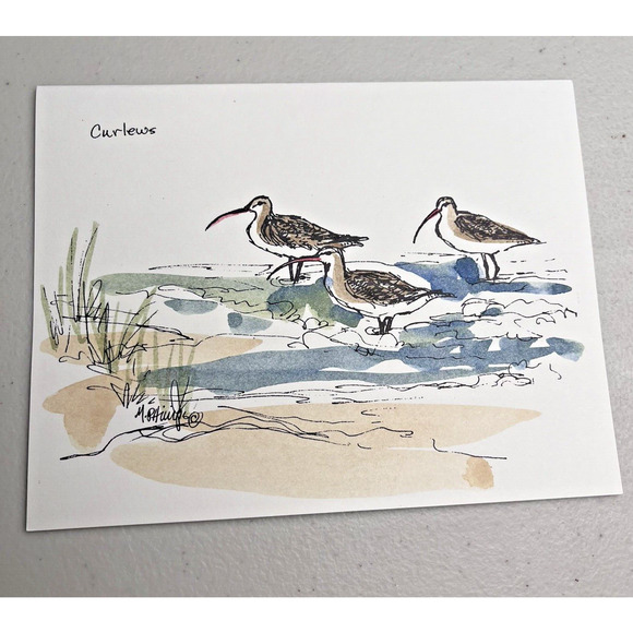 Hand painted Greeting Cards Shore Birds Cards Ink & Watercolor Signed 9 Blank - Picture 10 of 16